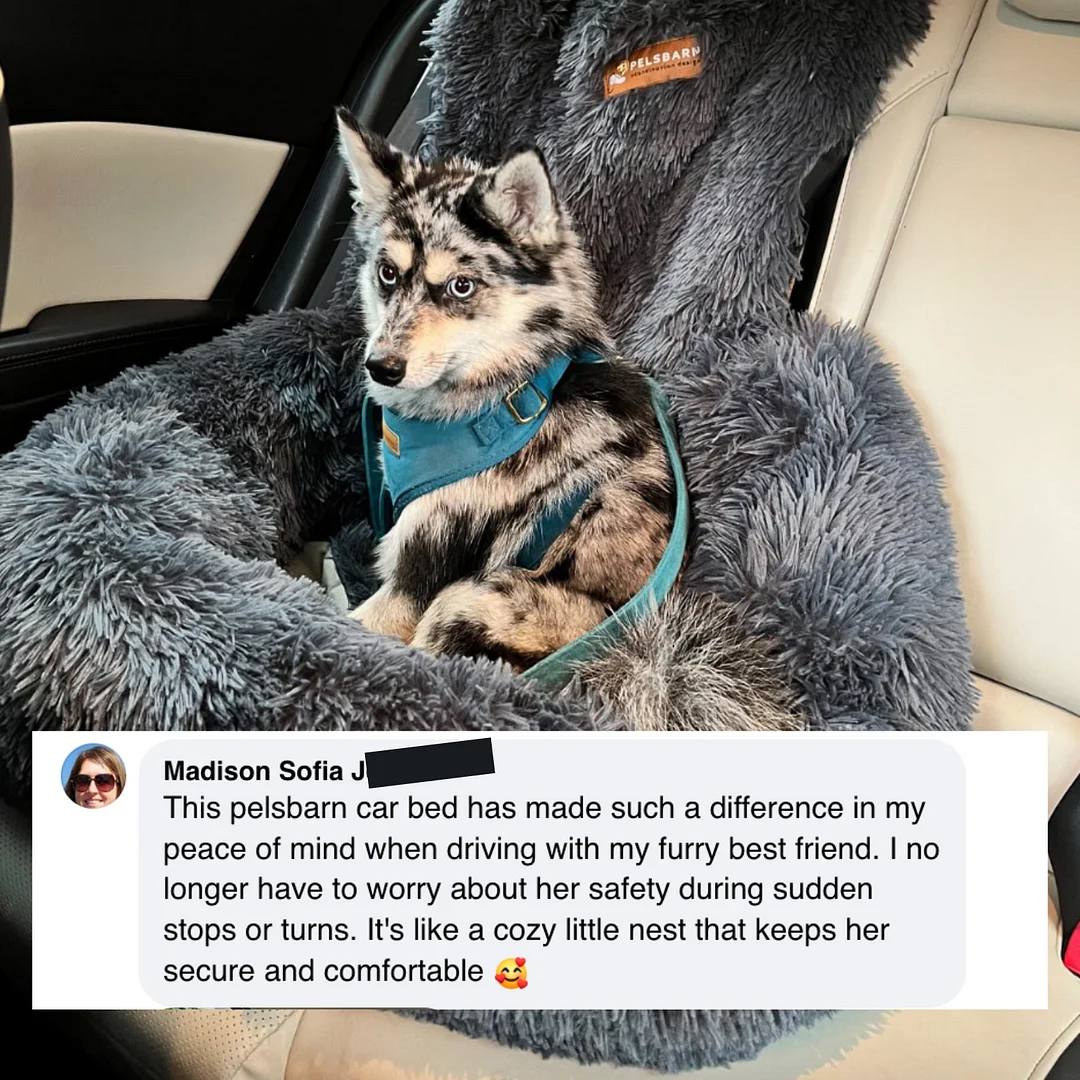 Pelsbarn Protecting Car Bed