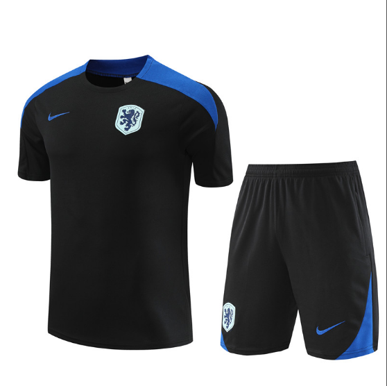 2024 Netherlands Training Kit Football T-Shirt Thai Quality