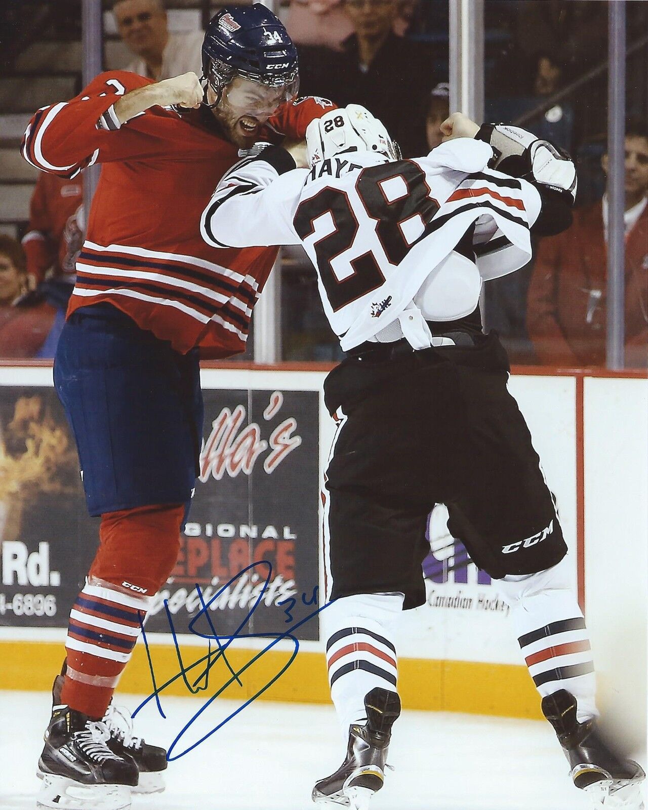 Hunter Smith Signed 8x10 Fight Photo Poster painting Oshawa Generals Autographed COA