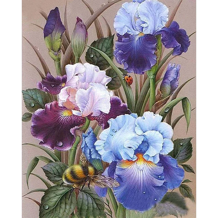 Iris Flowers - Paint By Numbers(40*50cm)