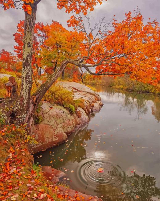 

Autumn In America – Paint By Numbers - 40*50CM, 501 Original