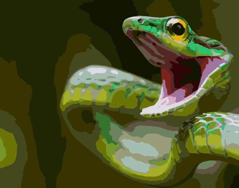 

Green Snake – Paint By Numbers - 40*50CM, 501 Original
