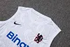 Joyfball 2025/2026 Chelsea Vest training White Jersey 1:1 Thai Quality