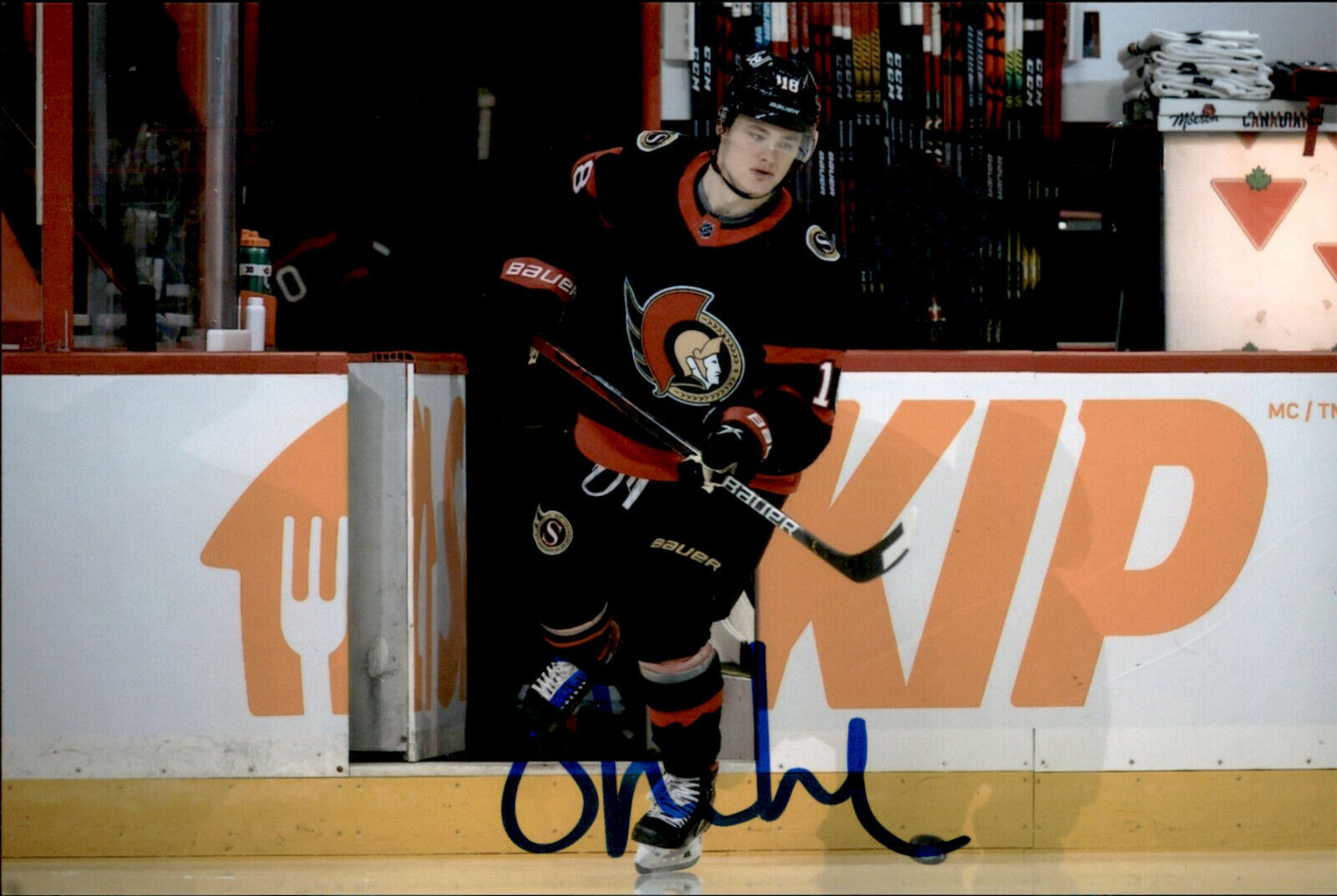 Tim Stutzle SIGNED autographed 4x6 Photo Poster painting OTTAWA SENATORS #2