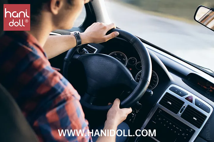 sex doll in car Fucking A Sex Doll In Public main image 1