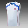 2025/2026 Bayern Munich Pre-Match Training Grey Vest+Shorts Football1:1 Thai Quality