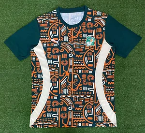 2024/2025 Côte d'Ivoire National Team Training Wear Football Shirt 1:1 Thai Quality