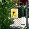 Sunflower - Vintage Metal Signs - 20*30cm/30*40cm - Garden