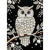 Diamond Painting-DIY Special Shaped Drill Pearl Painting Owl(30x40cm)