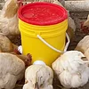 Chicken Feeder Poultry Feeding Supplies Poultry Feeder Port Gravity Feed Kit For Buckets Barrels Bins Troughs