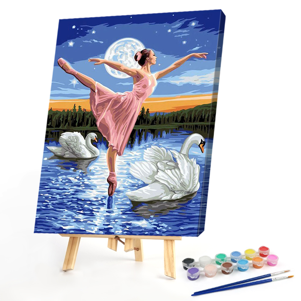 

40*50CM - Paint By Numbers - Dancers On Swan Lake, 501 Original