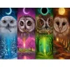 Owl   | Full Round Diamond Painting Kits