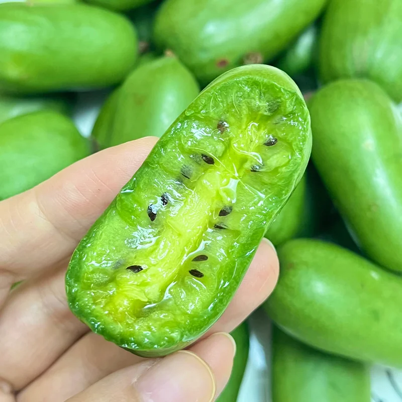 Rare Thumb Kiwi Seed