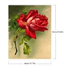 Red Rose-Paint by Numbers Acrylic Painting 40*50CM