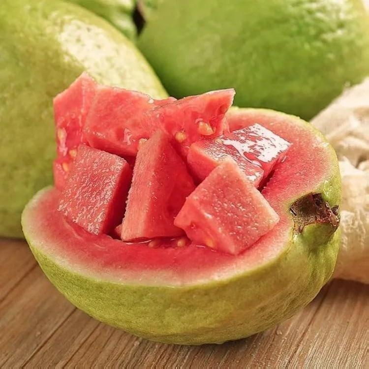 Pink Guava Seeds for Planting- Suitable for Pots,Greenhouses, and Outdoor Gardens