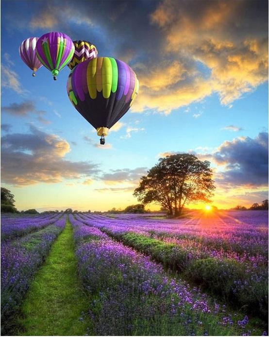 

Air Balloon Lavender Field – Paint By Numbers - 40*50CM, 501 Original