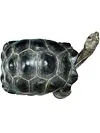 2024 Simulation turtle series Galapagos tortoise tortoise model