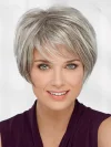Silver Gray High Temperature Wire Oblique Bangs Wig
