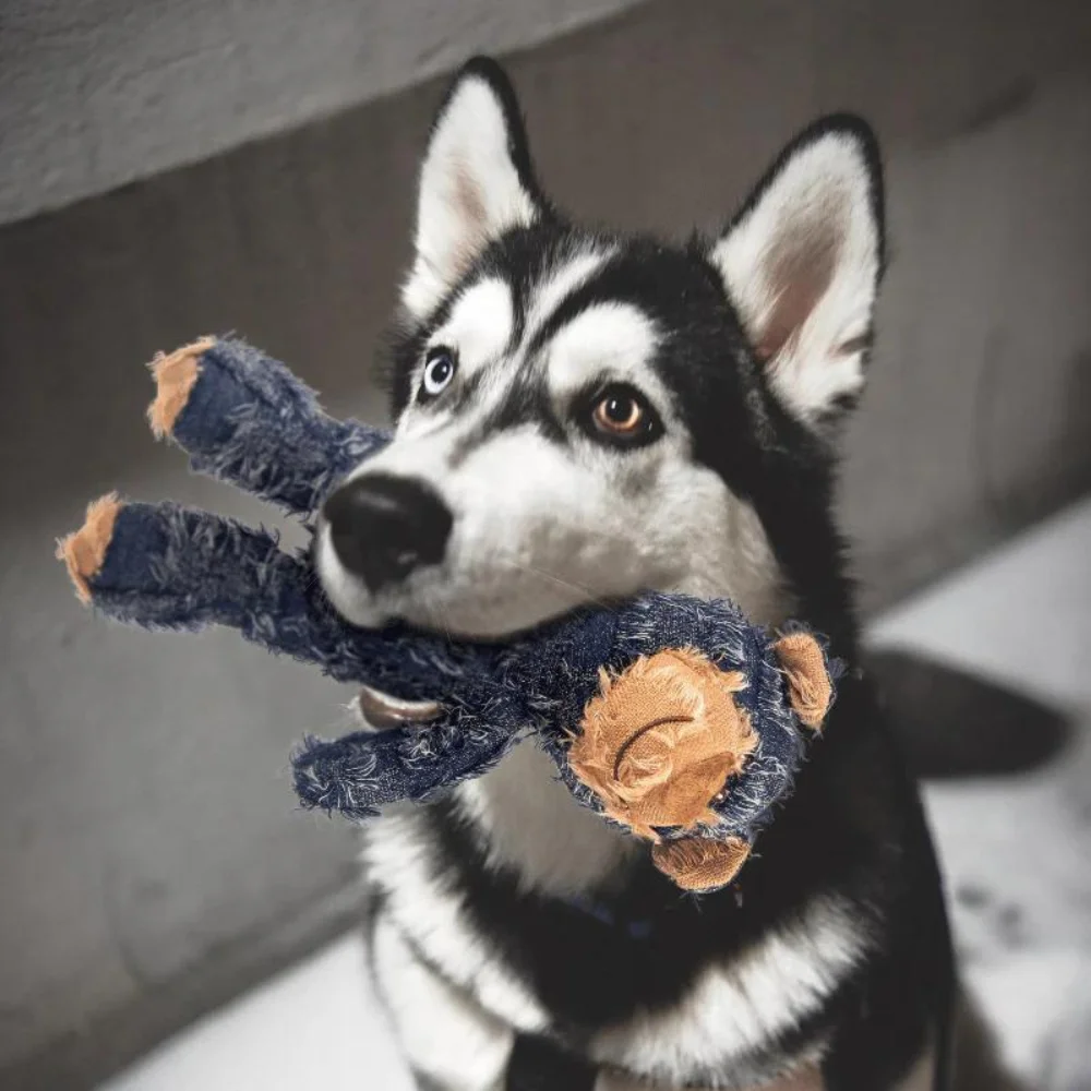 Indestructible Robust Bear