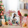 (US Local)Acrylic Special Shape Cardinal and Flower Diamond Painting Picture Frame Kit