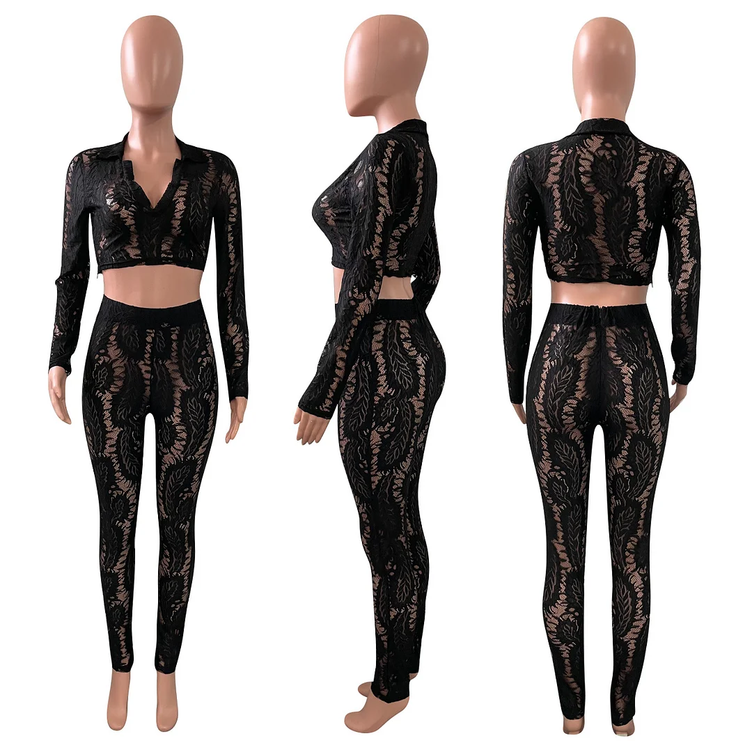 Budgetg V Neck Lace Club Outfit 2 Pieces Women Long Sleeve Crop Top and Long Skinny Pants Party Clubwear Solid See Through Clothes