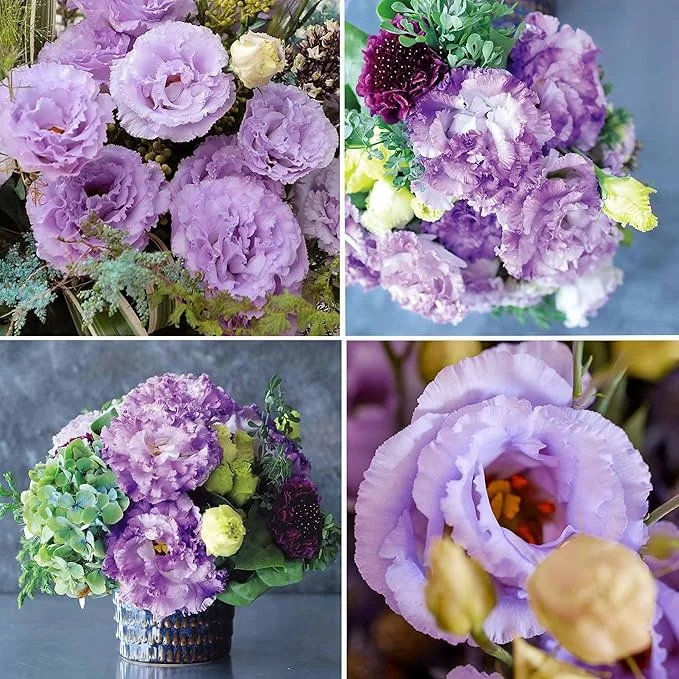💐Lisianthus - A Sincere and Immutable Love