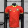 2025 Player Version Cameroon Soccer Jersey Away