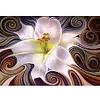 uk.everydayedeals (Limited Stock)Cross Stitch - 11ct Stamped - Fleur abstraite (60*45cm)