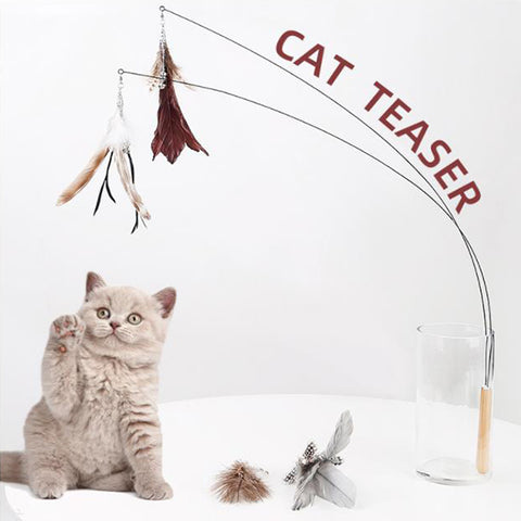 cat stick