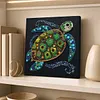 DIY Pre-Framed Turtle Button Art Canvas Kit