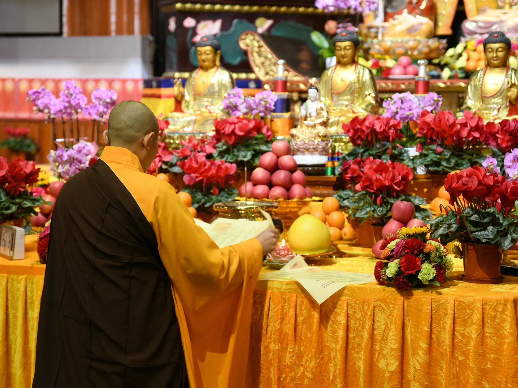 Buddhist Culture Experience Day Tour