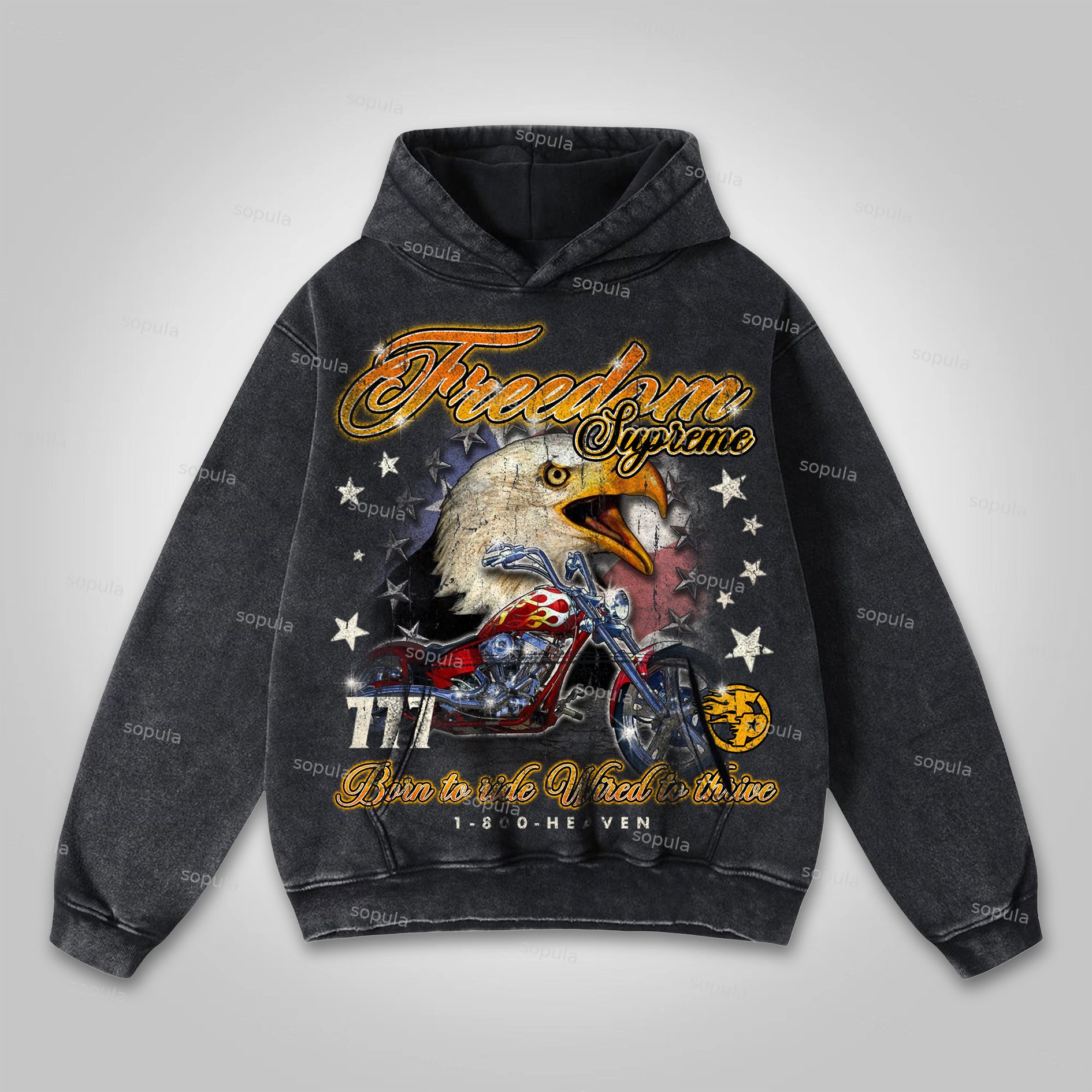 Sopula Freedom Is Supreme Locomotive Eagle Graphic Washed Hoodie