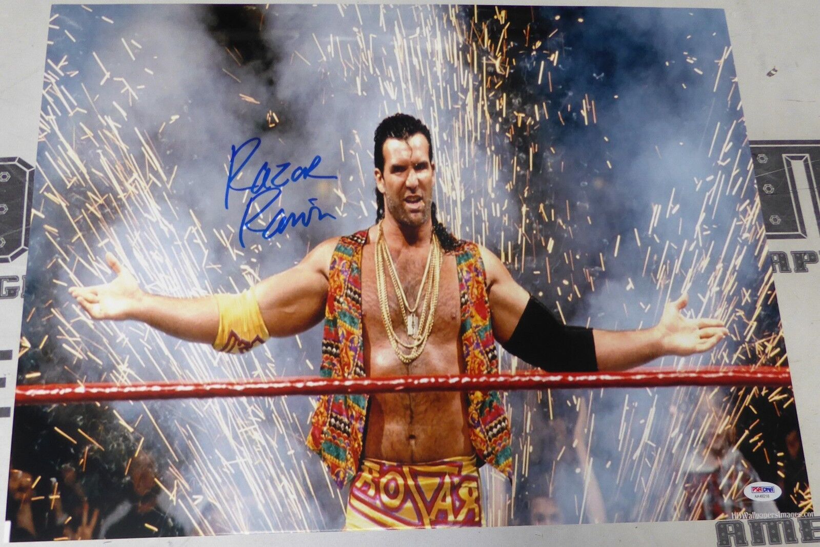 Razor Ramon Signed WWE 16x20 Photo Poster painting PSA/DNA COA Scott Hall Picture Autograph WCW