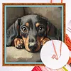 Dachshund Full 14CT 2 Strands DIY Counted Cross Stitch Kits for Beginners Adults Home Decor Cross Stitch Patterns Arts Craft Kits 15.6x15.6In tapestrymarket