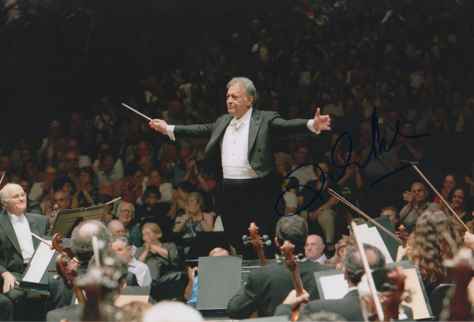 Zubin Mehta Conductor signed 8x12 inch Photo Poster painting autograph