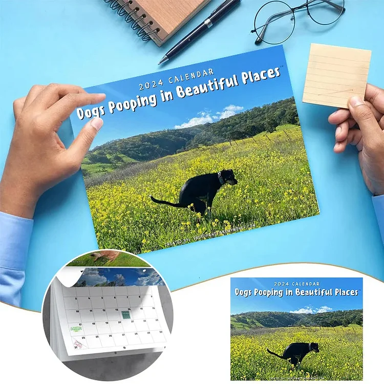 2024 Dogs Pooping in Beautiful Places Calendar