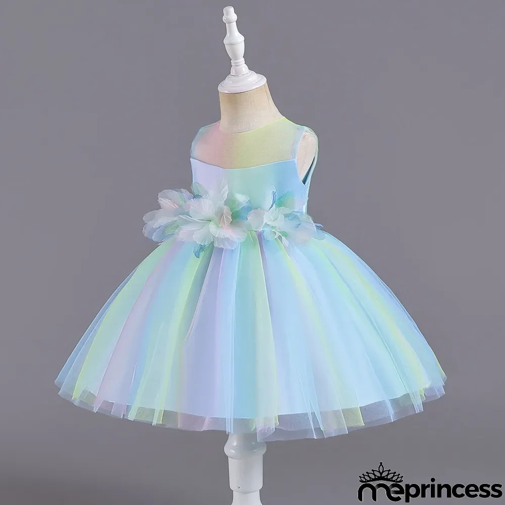 Infant and Toddler Dresses Floral Dress Multi-Color Mesh Pouf Princess Dress