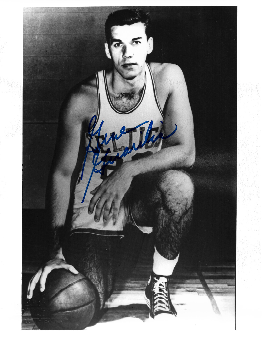 Gene Guarilia D.16 Boston Celtics Basketball Autographed Signed 8x10 Photo Poster painting SCSOA