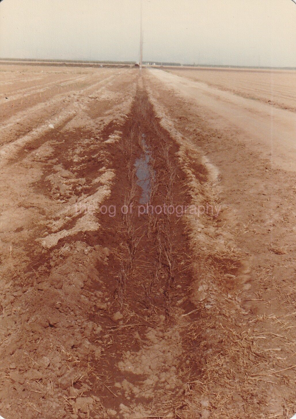 Arid Farmland Photo Poster painting DesertColor Original Snapshot VINTAGE 811 33