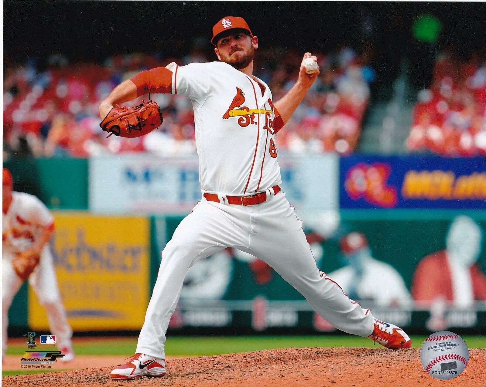 AUSTIN GOMBER ST. LOUIS CARDINALS Photo Poster paintingFILE LICENSED ACTION 8x10 Photo Poster painting