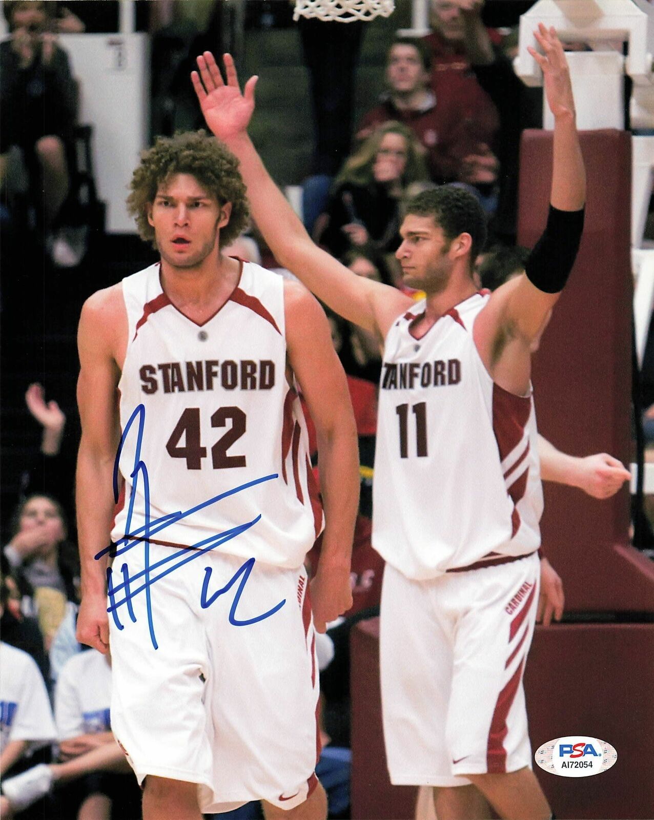 Robin Lopez signed 8x10 Photo Poster painting PSA/DNA Stanford University Autographed
