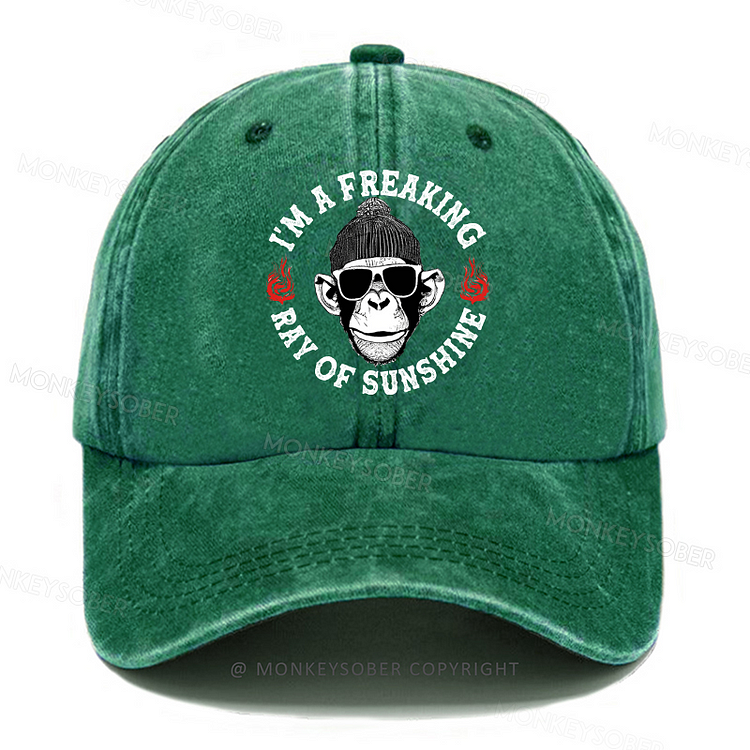 Personalized " I'm A Freaking Ray Of Sunshine" Custom Washed Baseball Caps