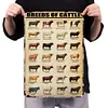 Breeds Of Cattle - Metal Tin Signs(8*12Inch/12*16Inch) - Animal