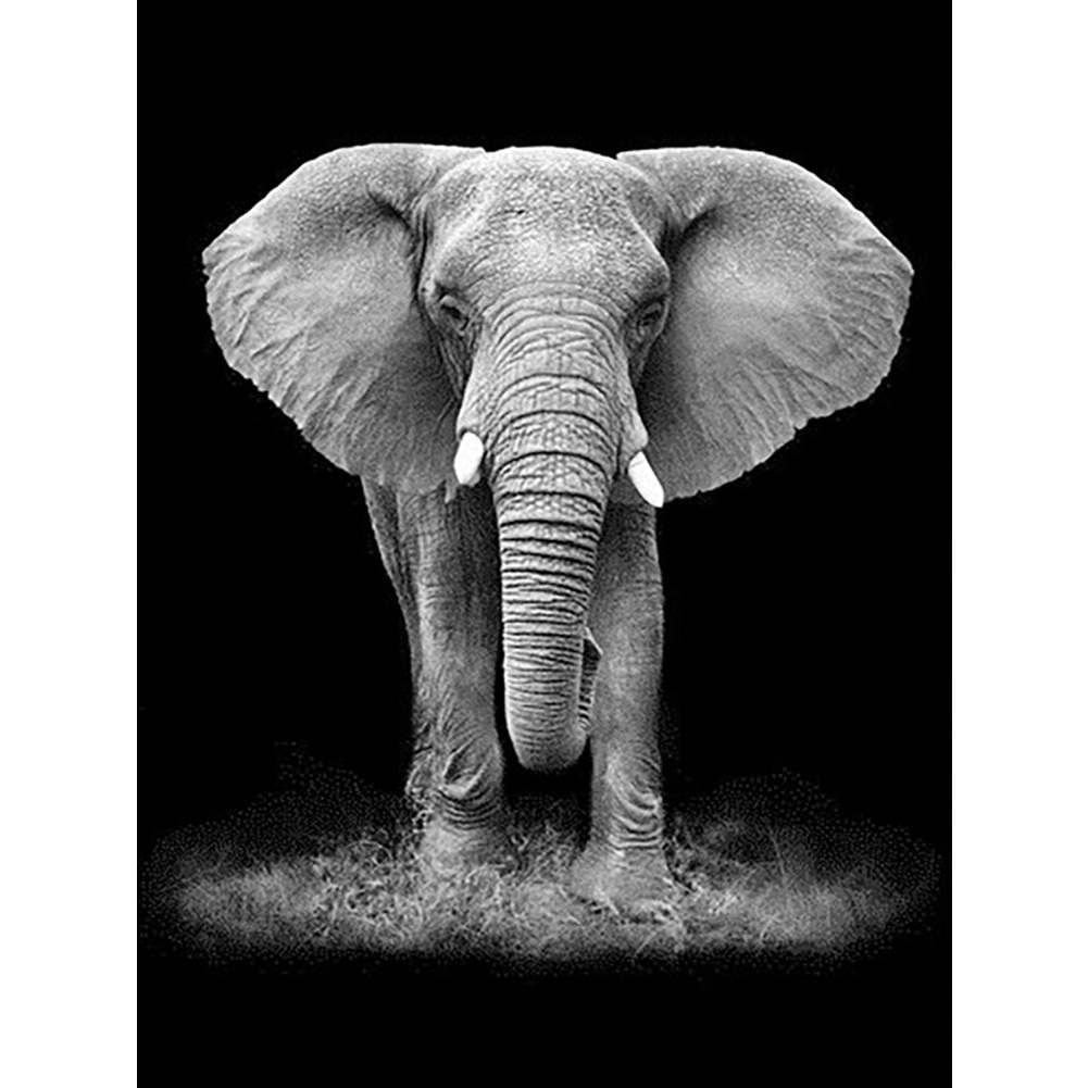 

Elephant - Square Drill Diamond Painting - 50*60CM (Big Size), 501 Original