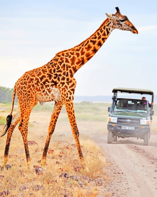 

Kenya Giraffe – Paint By Numbers - 40*50CM, 501 Original