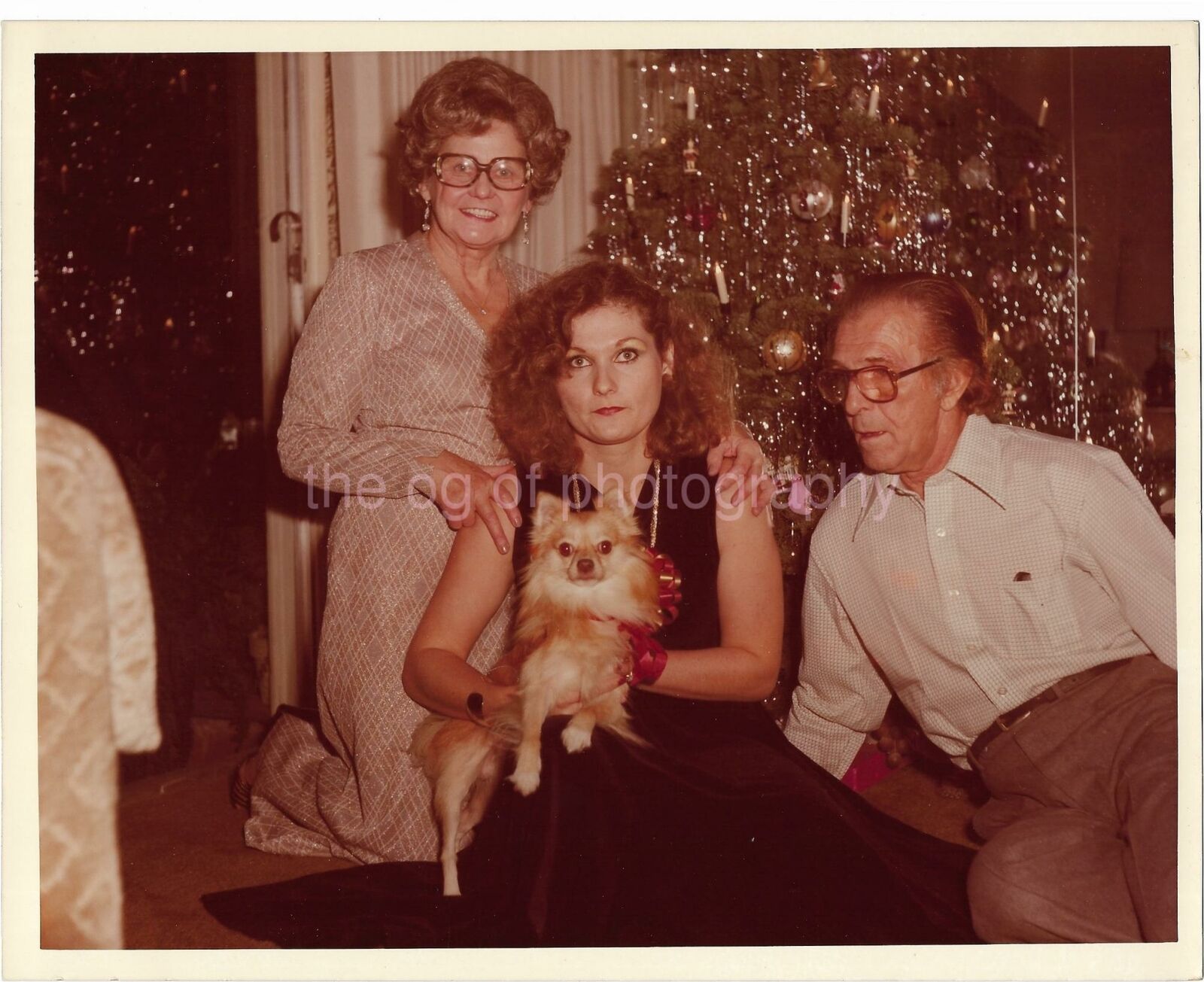 1970's CRISTMAS PORTRAIT Dog 8 x 10 FOUND FAMILY Photo Poster painting Color TREE Vintage 12 12