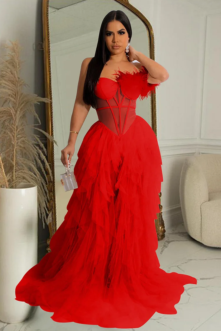 Feather Trim Off Shoulder Corset Prom Gown Maxi Tulle Dresses