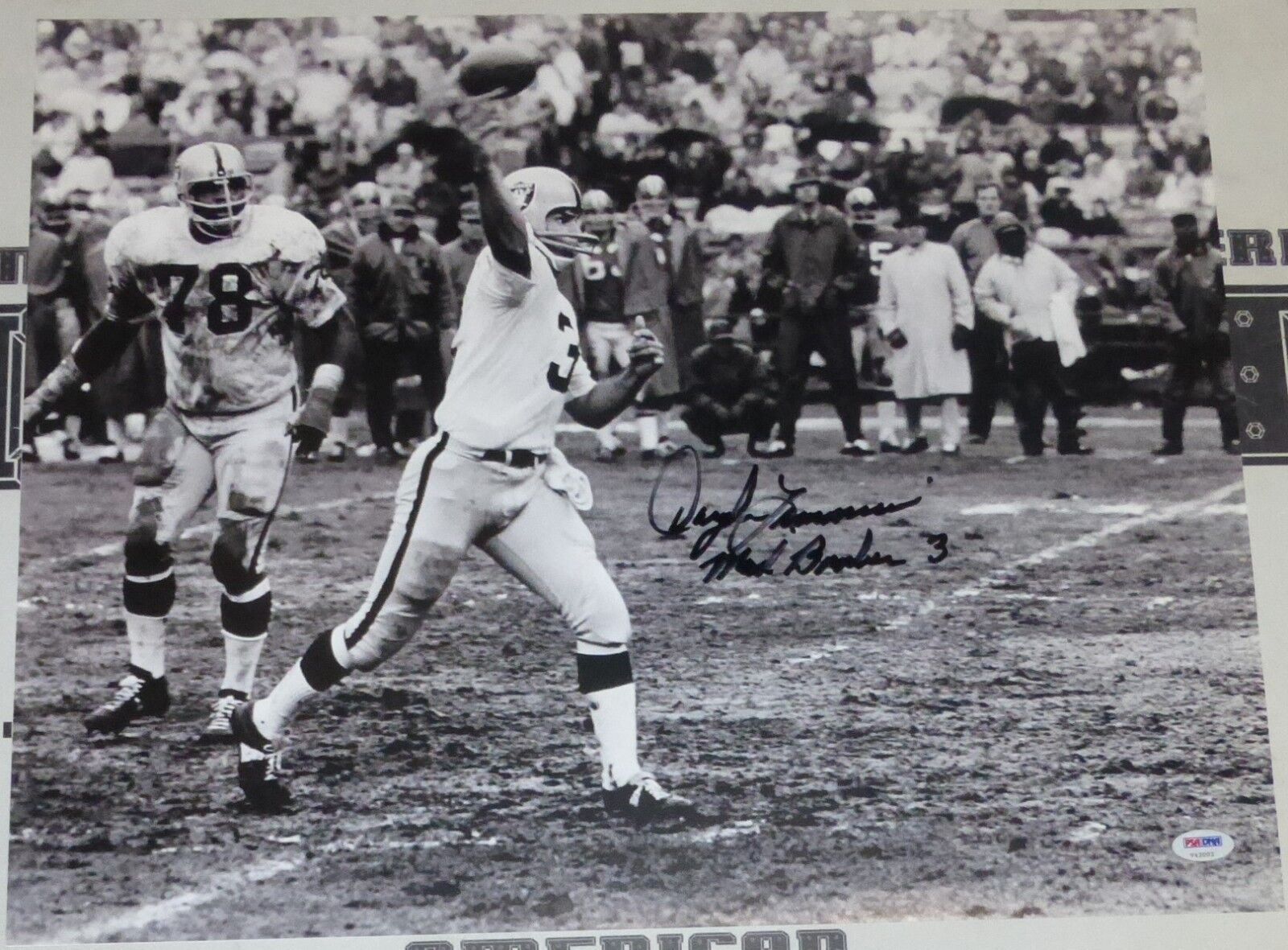 Daryle Lamonica Signed AFL Raiders Football 16x20 Photo Poster painting PSA/DNA COA Picture Auto