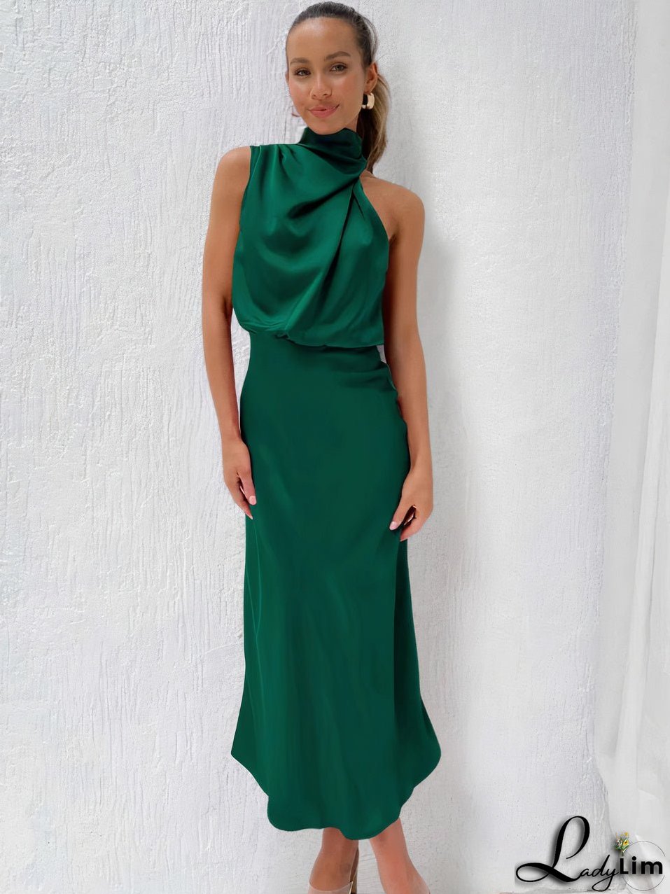 Classic and Stylish winter Dress