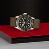 Tudor Black Bay Steel and Gold